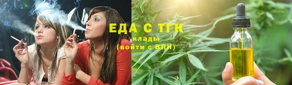 гидра Богородицк