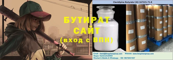 гидра Богородицк