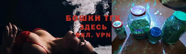 гашик Богородск