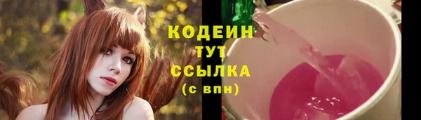 гашик Богородск
