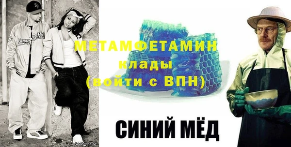 гидра Богородицк