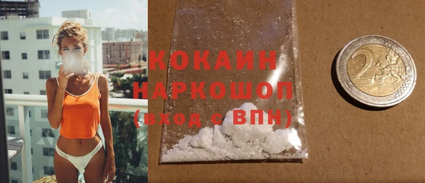 гидра Богородицк