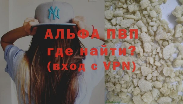 гидра Богородицк