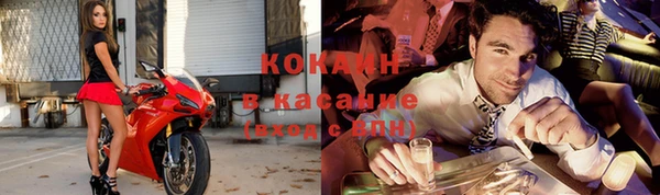 гидра Богородицк