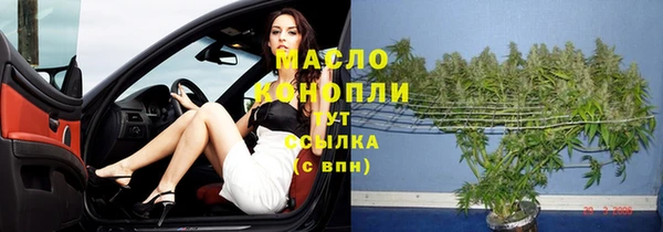 сатива Снежногорск